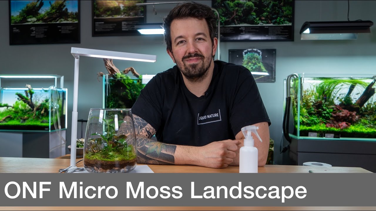 ONF Micro Moss Landscape - Wabikusa Tutorial | Liquid Nature