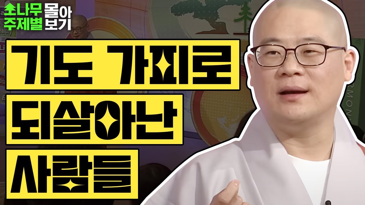 기도 가피로 죽음의 고비에서 되살아난 사람들 TOP3✨  [광우스님 소나무 주제별 몰아보기]