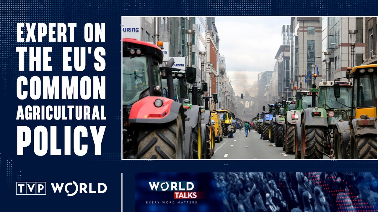 EU's common agricultural policy | Paweł Chmieliński