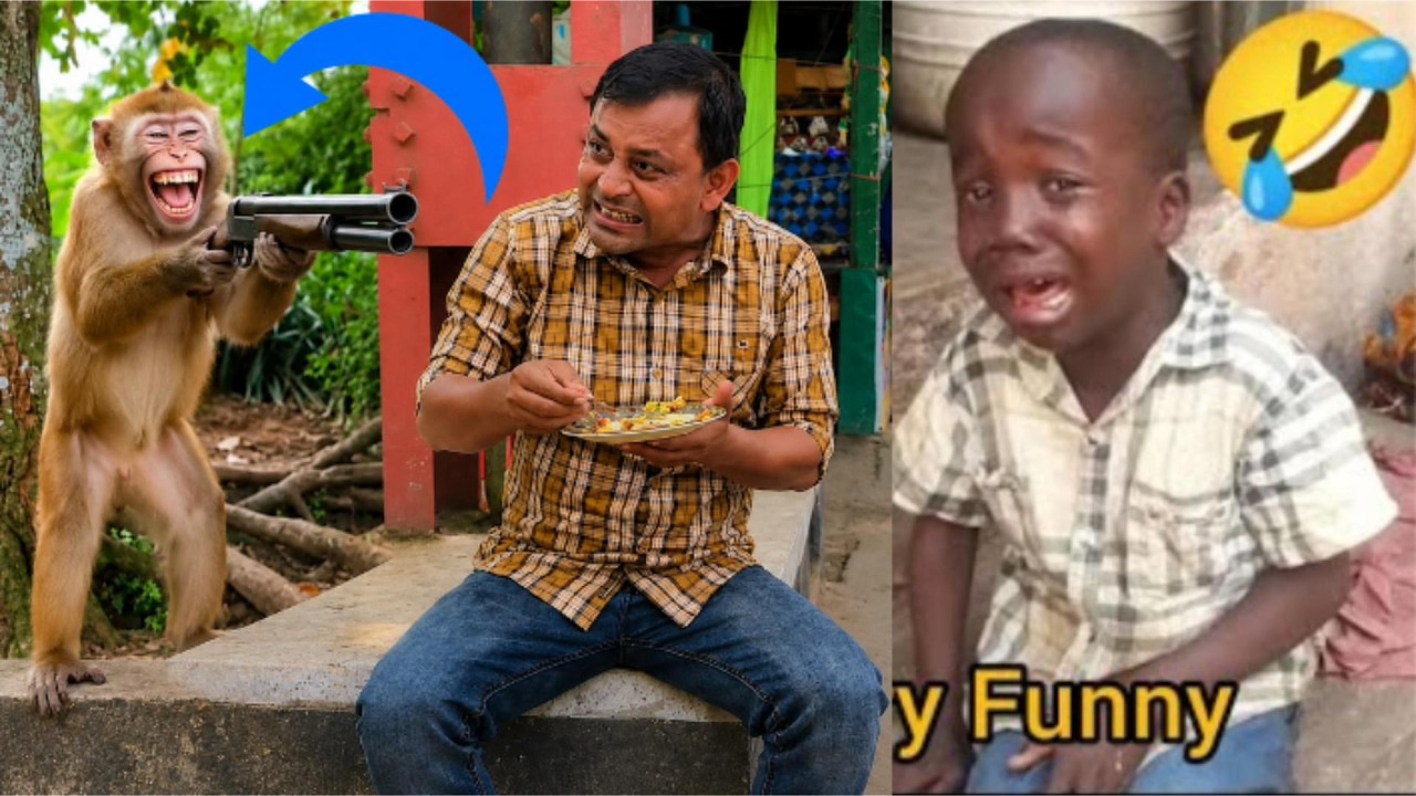 The funniest videos of 2026 🤣 It's impossible to stop laughing, extremely difficult!