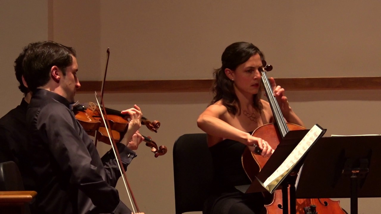 STRAUSS: Metamorphosen for Strings - ChamberFest Cleveland (2016)