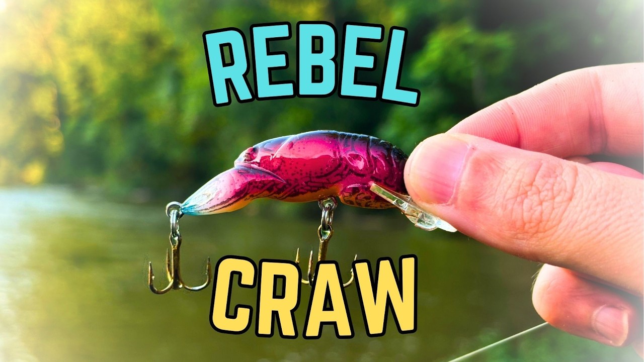 A Classic Crankbait for Smallmouth Bass! [Fishing + TIPS]