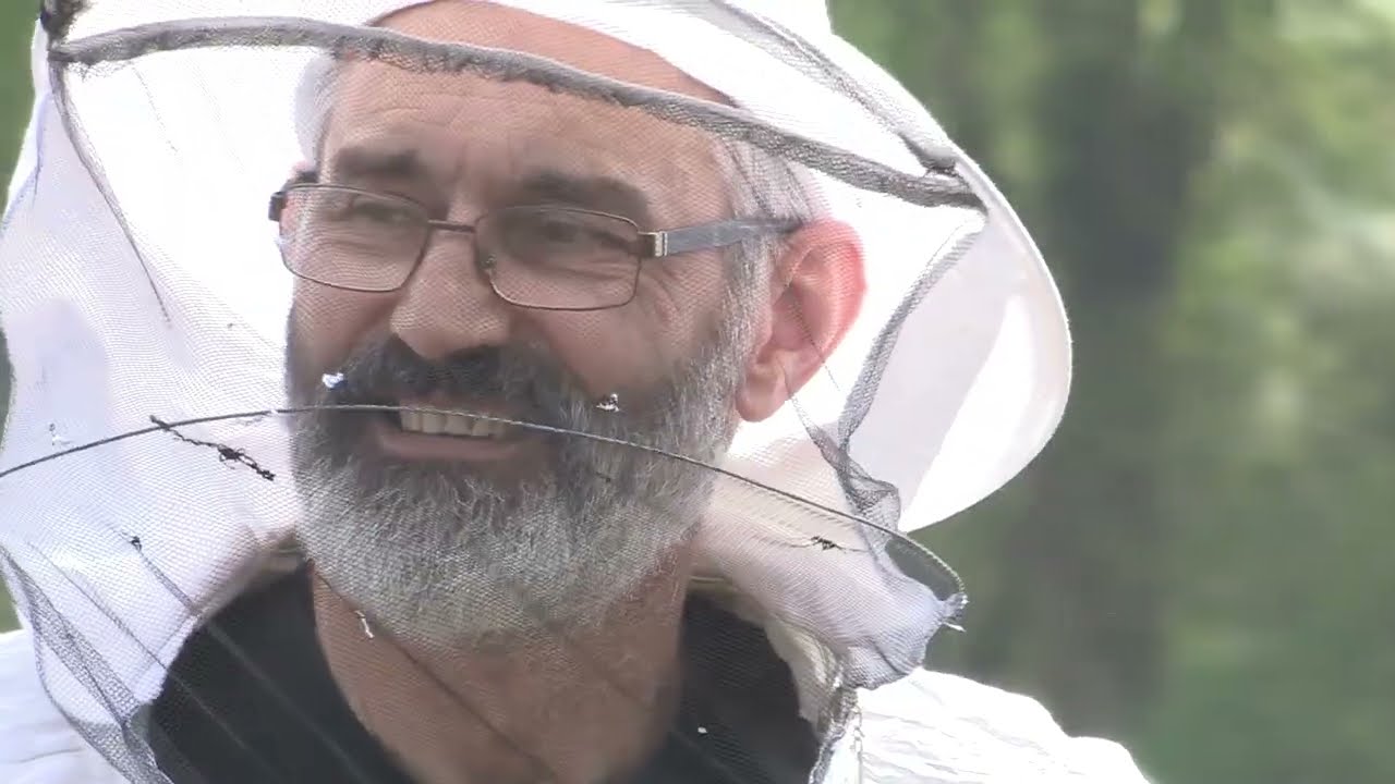 Boja meda ep. 280 17.06.2025. Pčelarstvo i regenerativna poljoprivreda, osnova kvalitetnog zimovanja