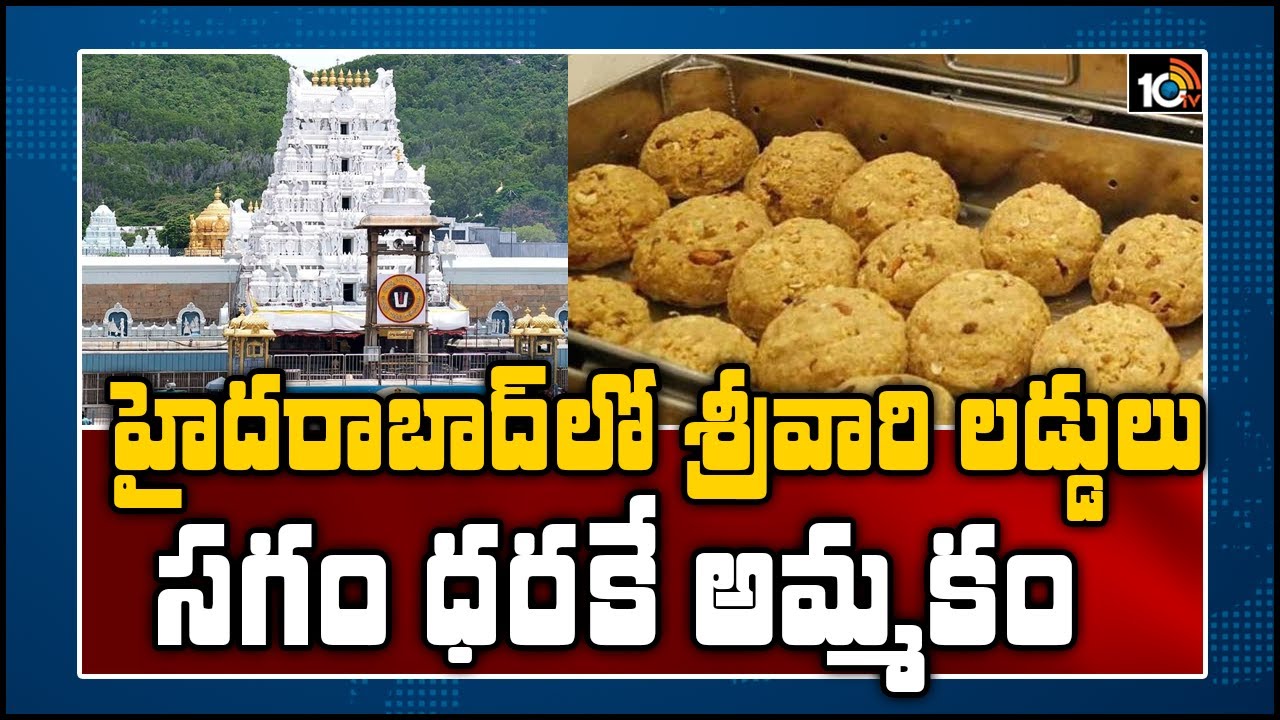 హైదరాబాద్ లో శ్రీవారి లడ్డులు..సగం ధరే | Tirumala Srivari Laddu Available In Hyderabad |10TV News