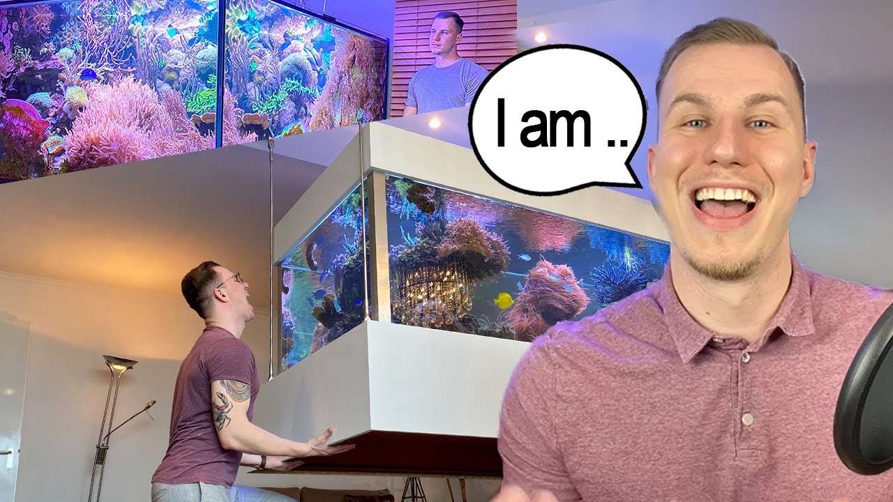 DREAM JOB: filming AQUARIUMS - Tobias Neyer about the 