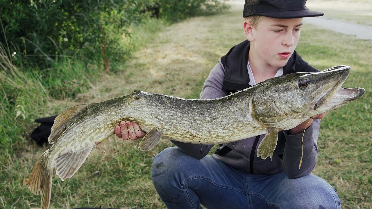 Viskid op verboden plekken 4 *MONSTERSNOEK* / Fishing forbidden places *MONSTER PIKE*