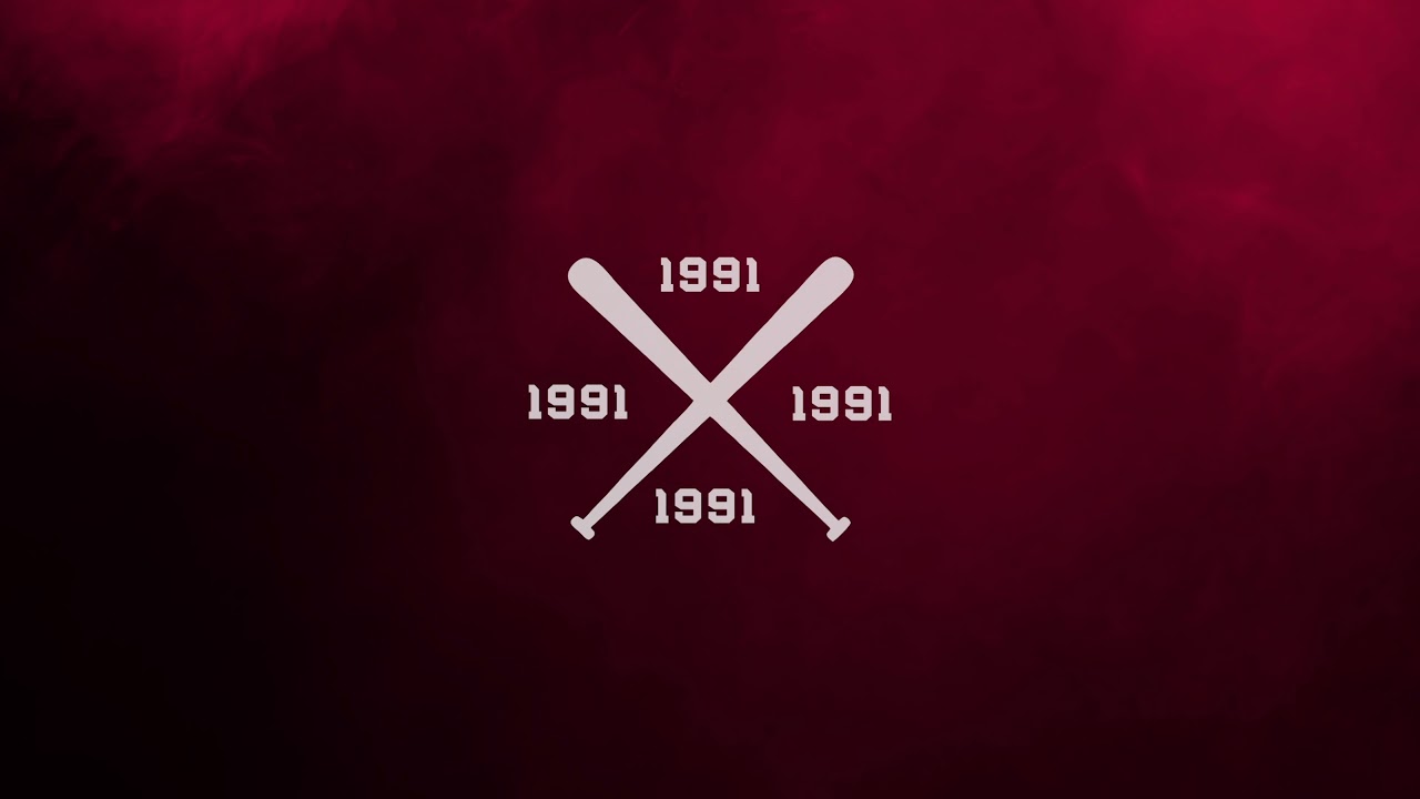 1991 - MDVS