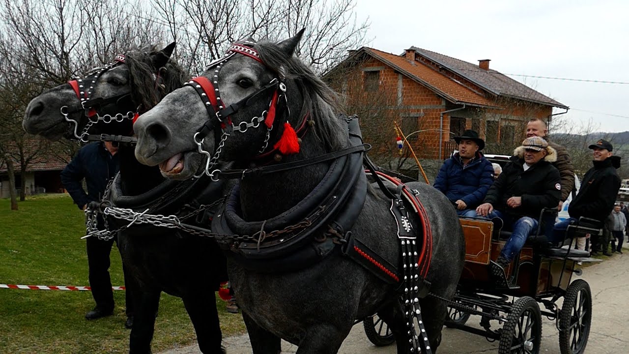 Sajam konja  u  Cetingradu, Josipova 2024 g. ( Horse fair )
