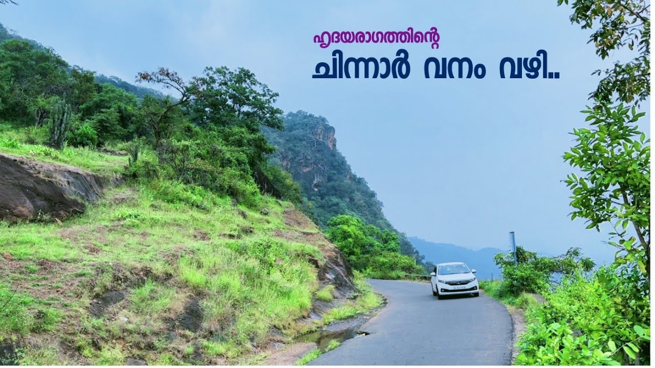 Marayoor To Udumalpet Forest Drive Via Chinnar & Anamalai Wildlife Sanctuaries | Border Crossing