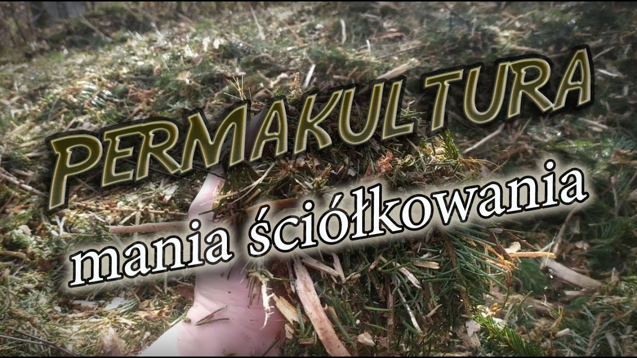 Permakultura - mania ściółkowania