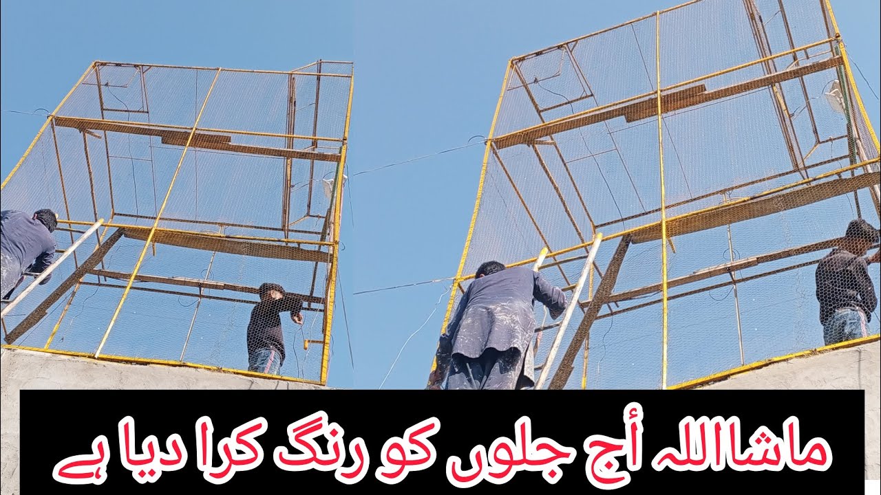 mashallha aj new rang ho gya h aur aik bacha be pakra hai