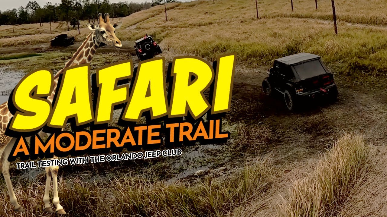SAFARI  a Jeepin With Judd 2025 moderate trail.