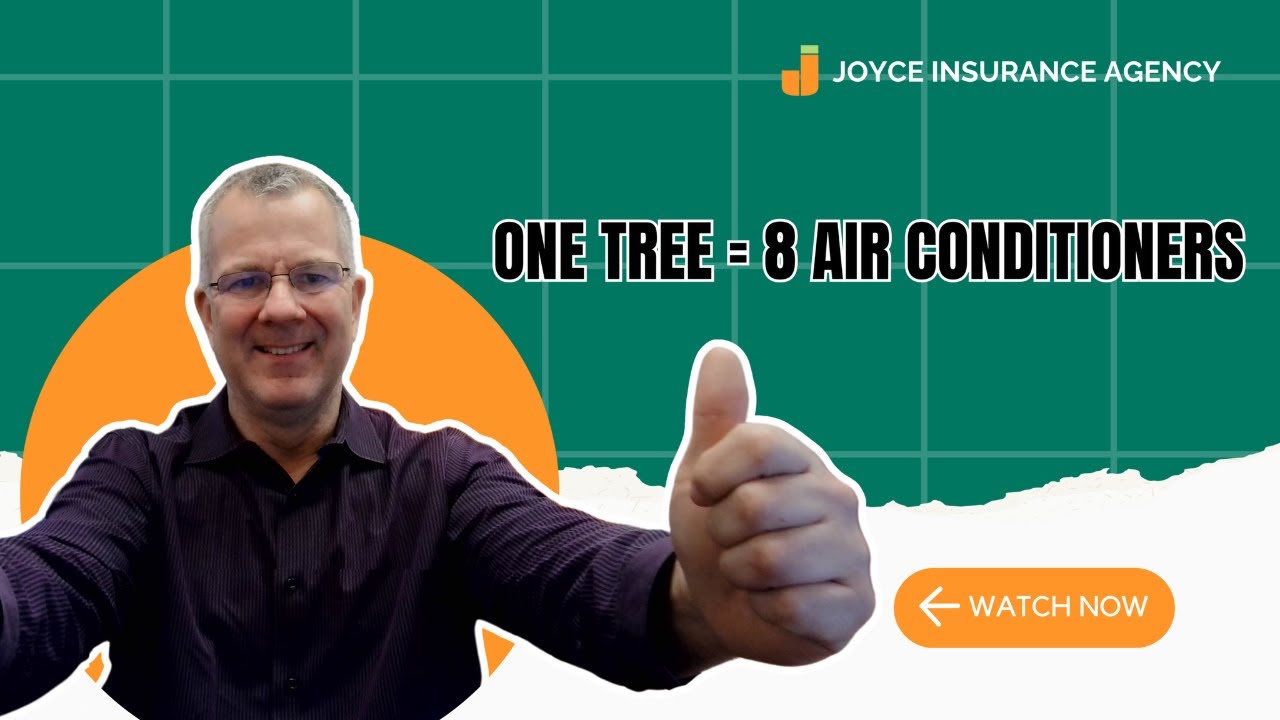 Nature&rsquo;s Air Conditioner: How Trees Cool Our Cities