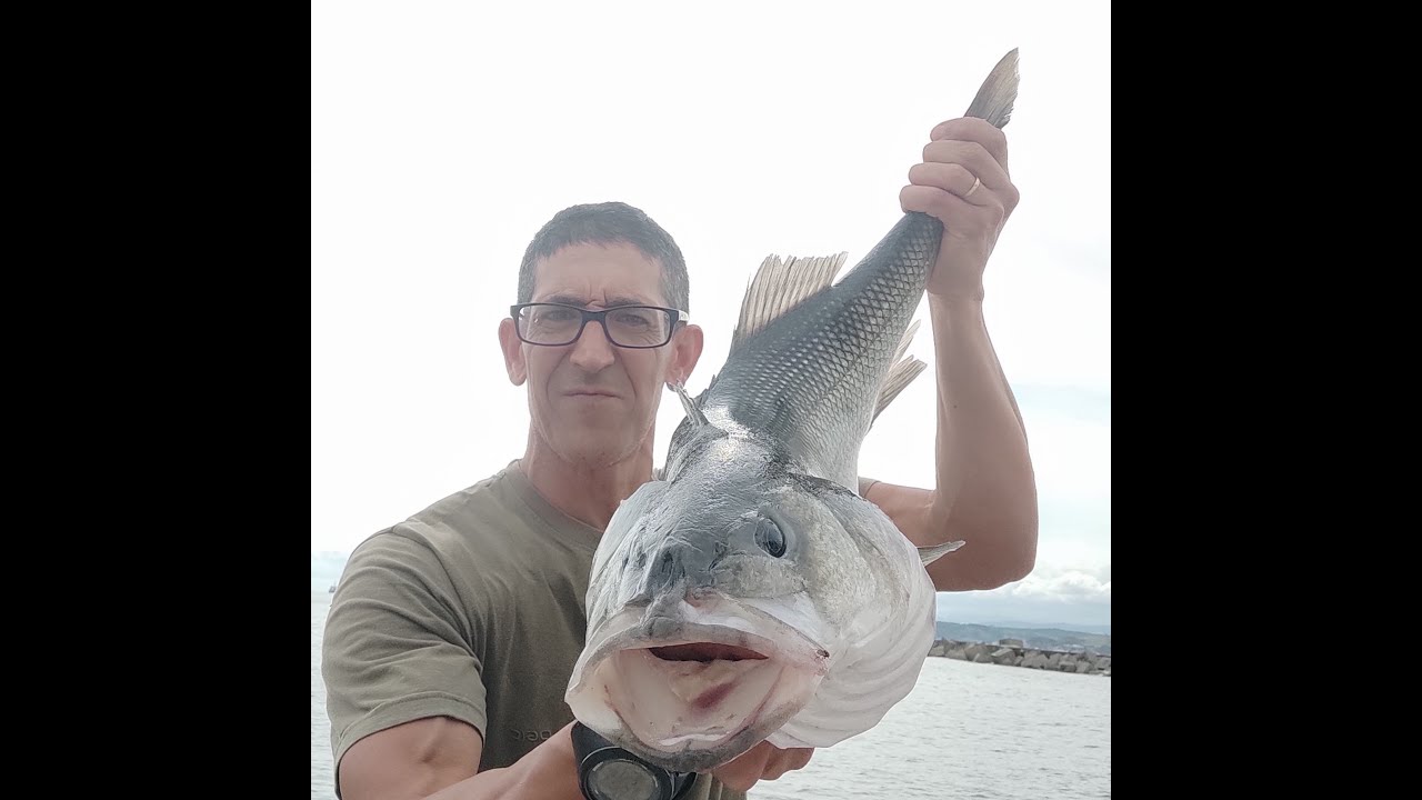 ##ROBALO XL CON EL XORUS PATCHINKO 100 .