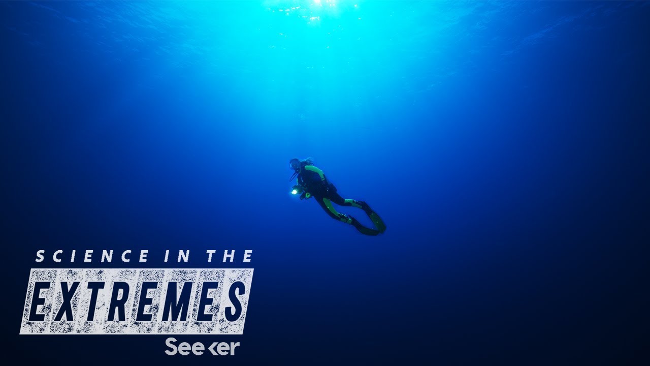 Diving Into the ‘Twilight Zone’ to Save a Vanishing World