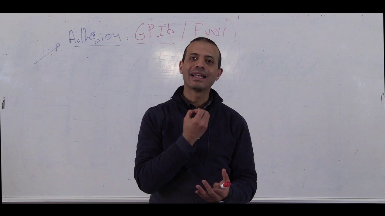 2ème année_Hémostase primaire -Vidéo 1- partie 2 //2019-2020