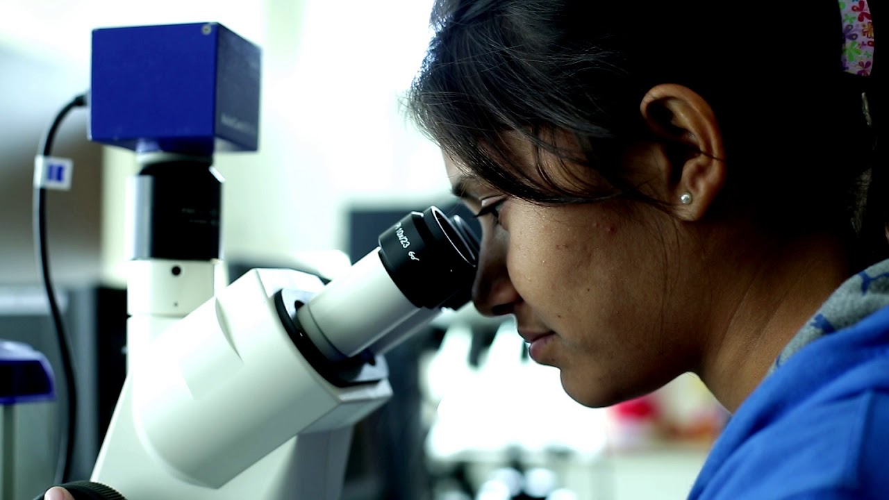 GFSU UNIVERSITY GANDHINAGAR