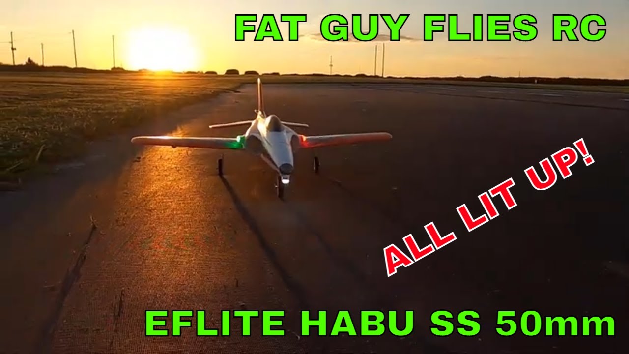 E-FLITE HABU SS 50mm ALL LIT UP!  With SAFE DEMO ! by Fat Guy Flies RC