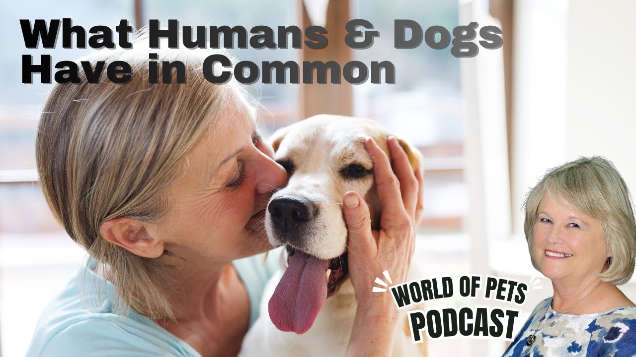 What Humans and Dogs Have in Common | World of Pets Podcast