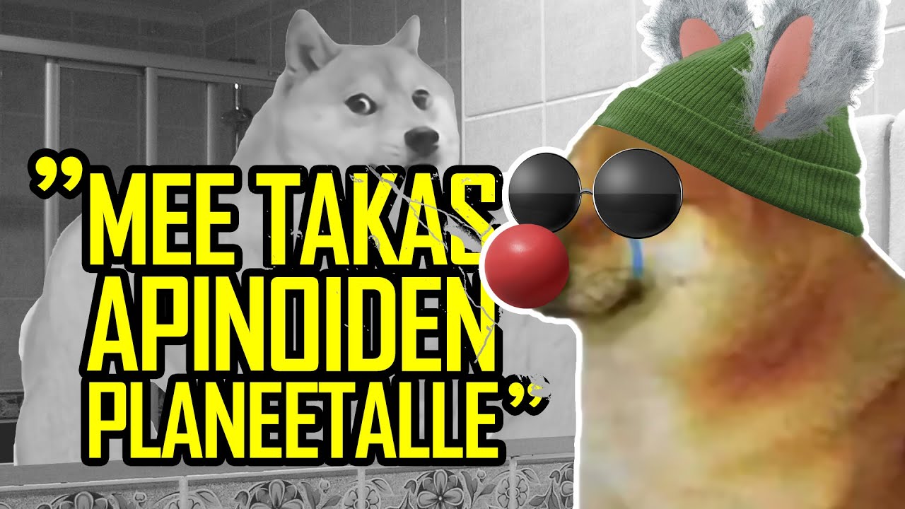 REAL TALK: En tykkää kattoo peiliin (ulkonäköpaineet)