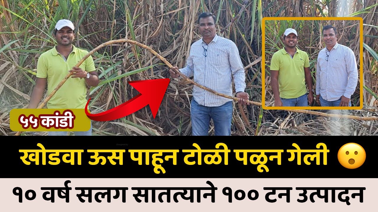 १०० टन उत्पादन सलग १० वर्ष घेणारे सांगलीचे विनोद तोडकर | Sugarcane 100 Ton | IFE