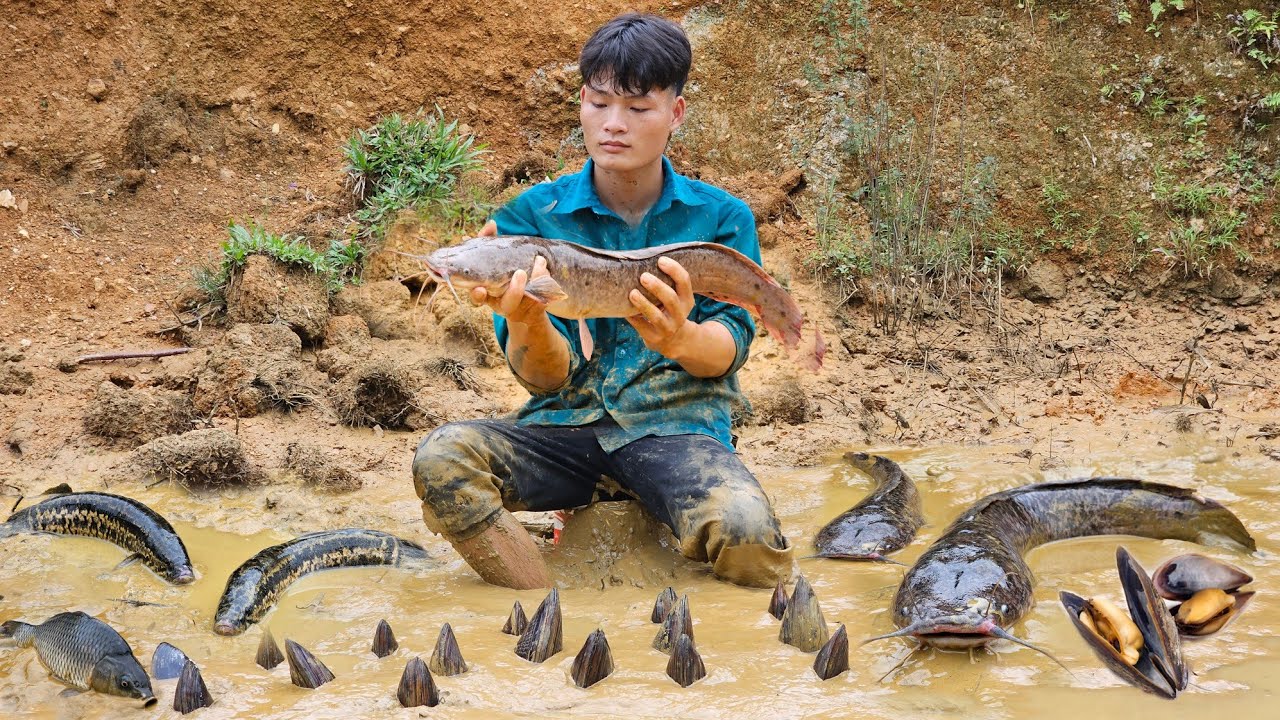 Harvest giant fish pond, Bring to the market to sell - Forest life