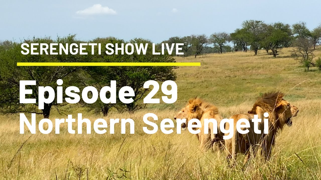 Episode 29 – Northern Serengeti