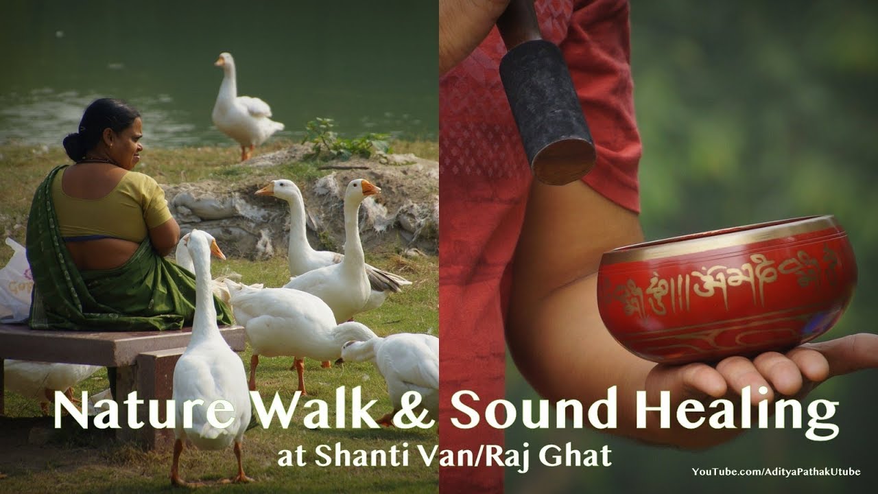 Glimpses | Nature Walk and Sound Healing at Shanti Van / Raj Ghat :) - Aditya Pathak