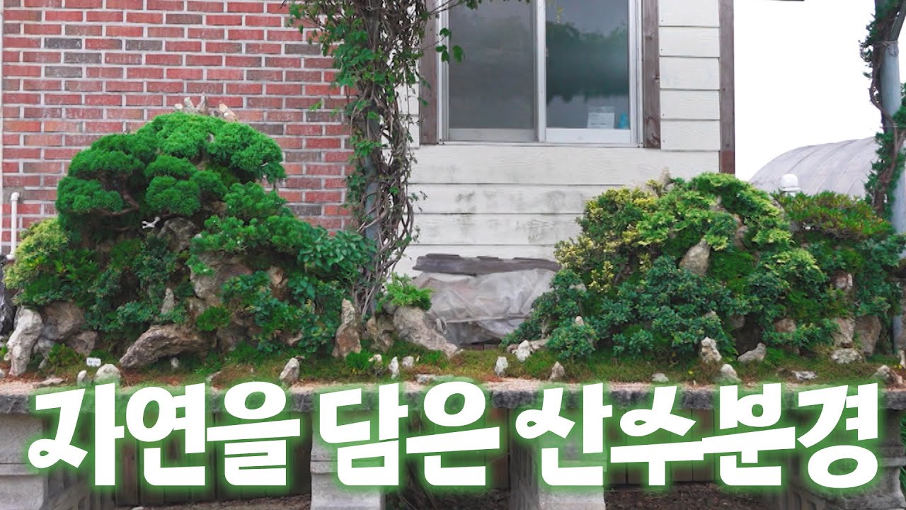 자연을 담은 산수분경│전국시대 250703 방송