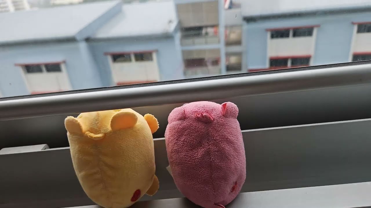 Hamster Playtime