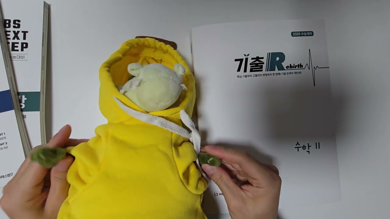 지금 시점 최고의 수학 기출문제집 ( 기출이 외워지는 느낌 들 때)