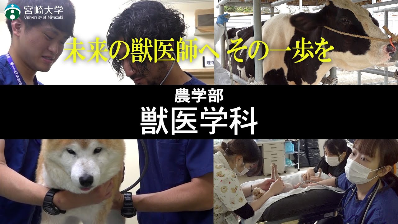 【未来の獣医師へ その一歩を】宮崎大学農学部｜獣医学科