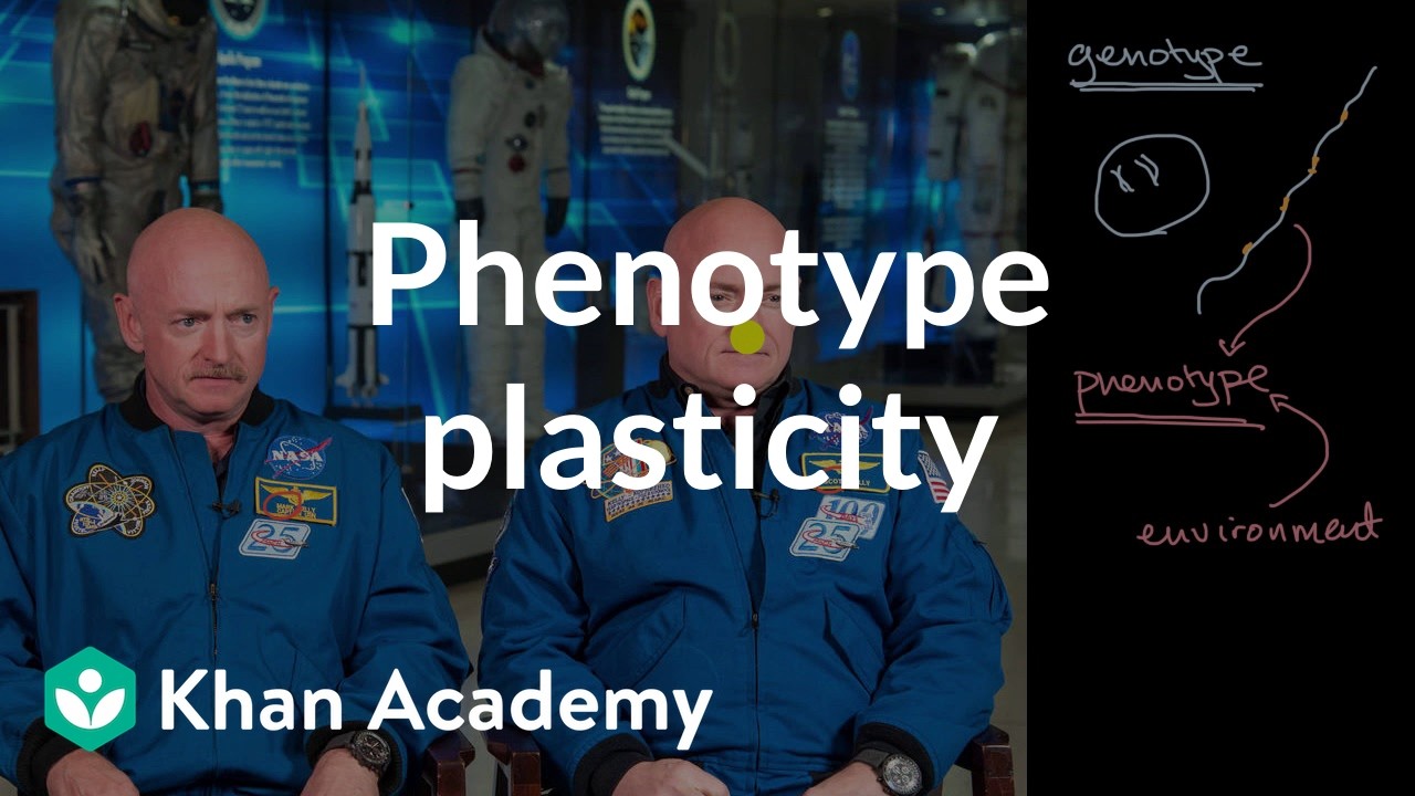 Phenotype plasticity | Heredity | AP Biology | Khan Academy