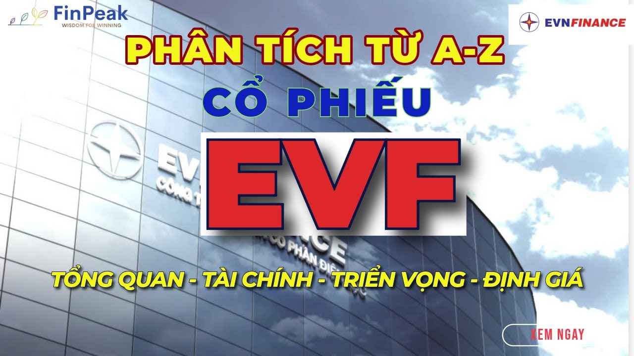 Cổ Phiếu EVF (EVNFinance): ĐIỂM SÁNG Ngành Tài Chính | NIM Cải Thiện, LLR Vượt Trội - Đáng Đầu Tư?