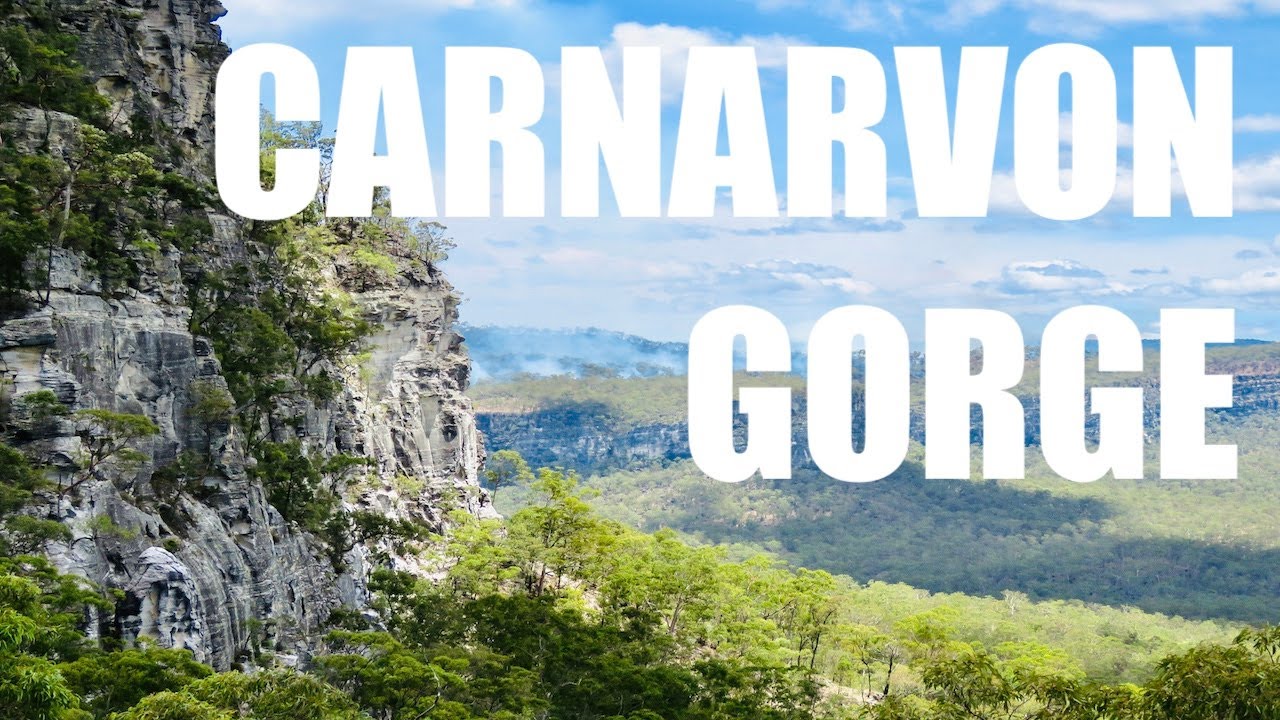 CARNARVON GORGE | Moss Garden, Mickey Creek Gorge & Devil's Spur