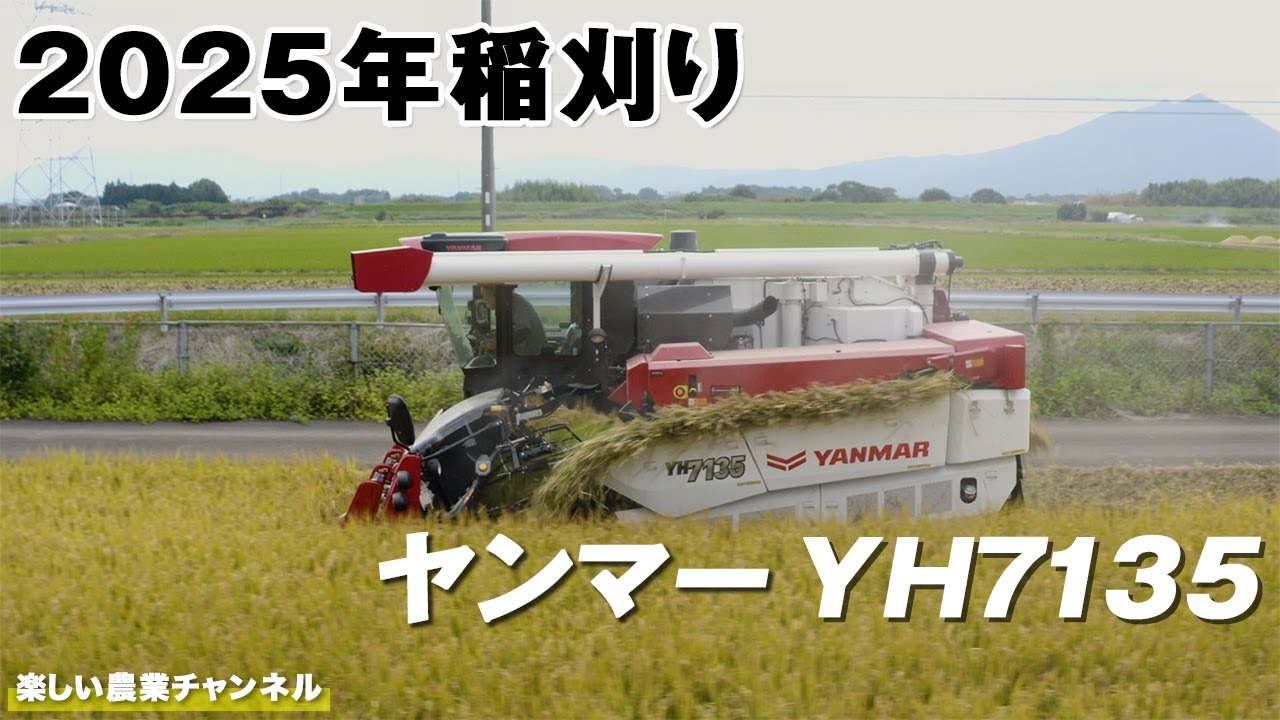 2025年・稲刈り作業