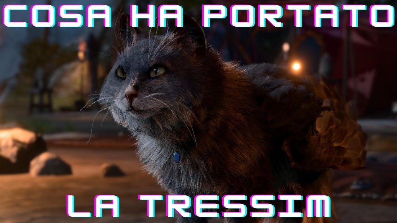 Tutti gli oggetti di Tara