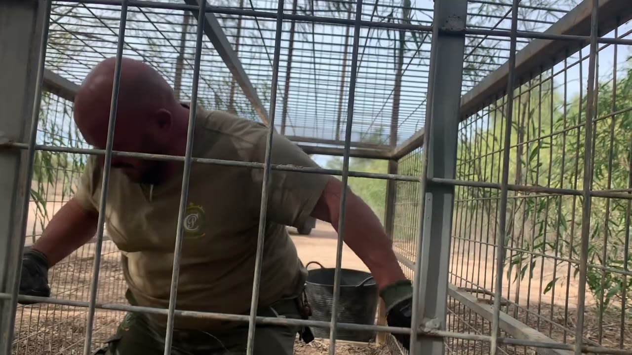 Mirar Camperos en esta jaula han caído,lo han sacao y le han puesto otro alambre👍😘❤️