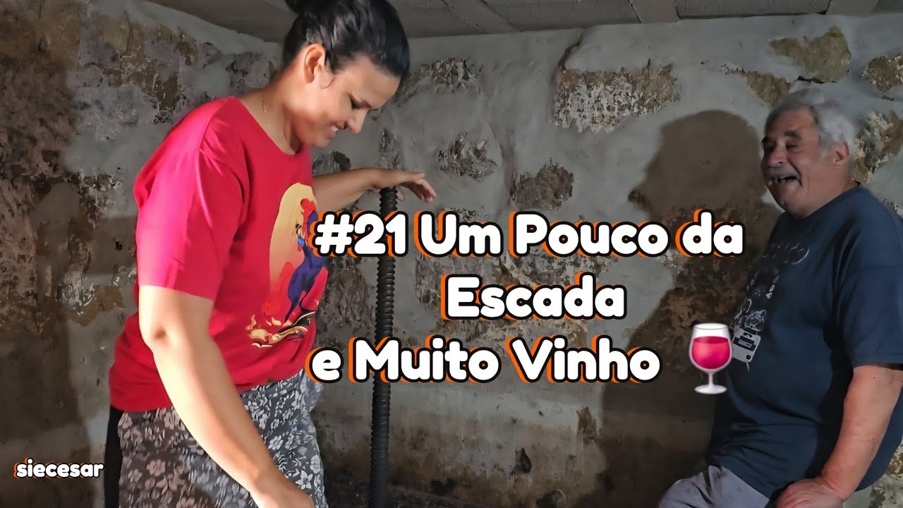 #21 DEGRAUS BEM FEITOS PARA TINY HOUSE DE PEDRA EM PORTUGAL / VINDIMA E MUITO VINHO 