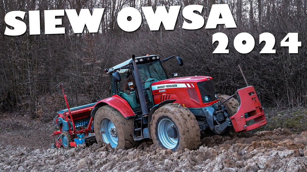 🇵🇱|4K|☆WTOPA MASSEY'A?☆SIEW OWSA 2024☆Massey Ferguson 6490☆Rabe Werk☆Unia Poznaniak☆