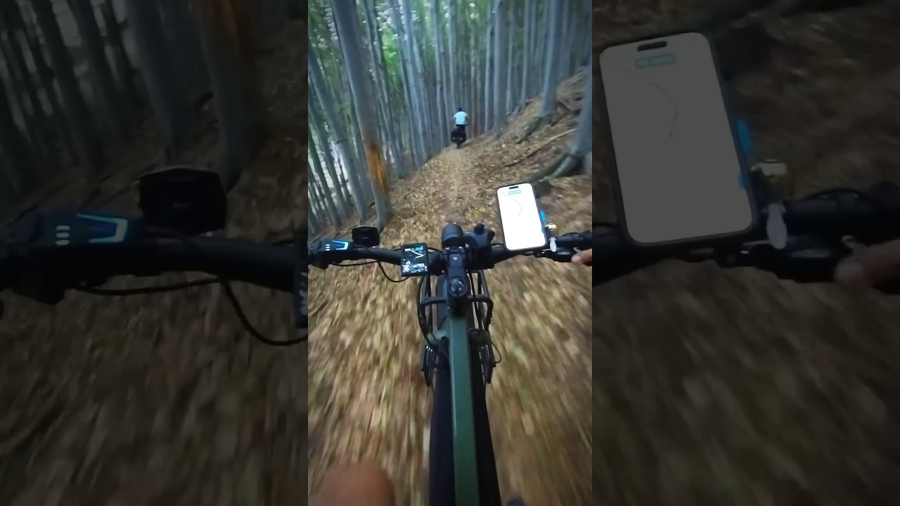 B&ouml;rzs&ouml;ny Bikepacking - Tern Orox Elektromos Cargo Ker&eacute;kp&aacute;rokkal