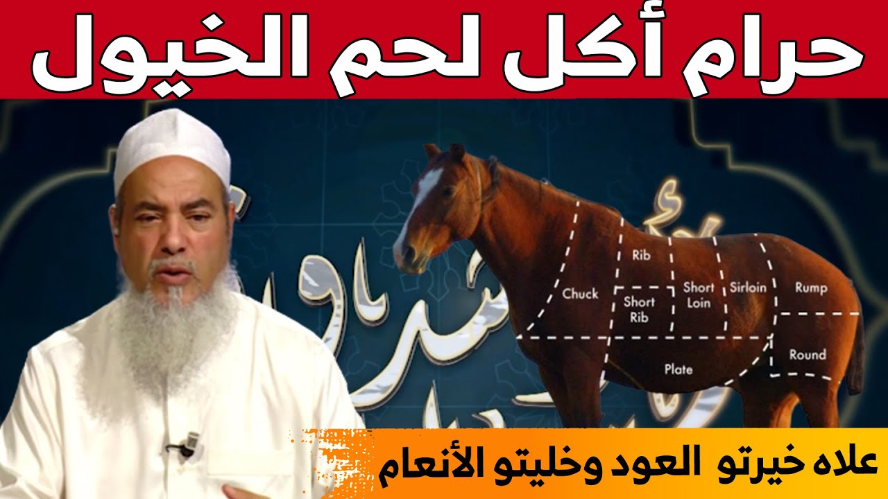 الشيخ شمس الدين يزيل الغموض حول جواز أكل لحم الخيل من عدمه... شاهدوا