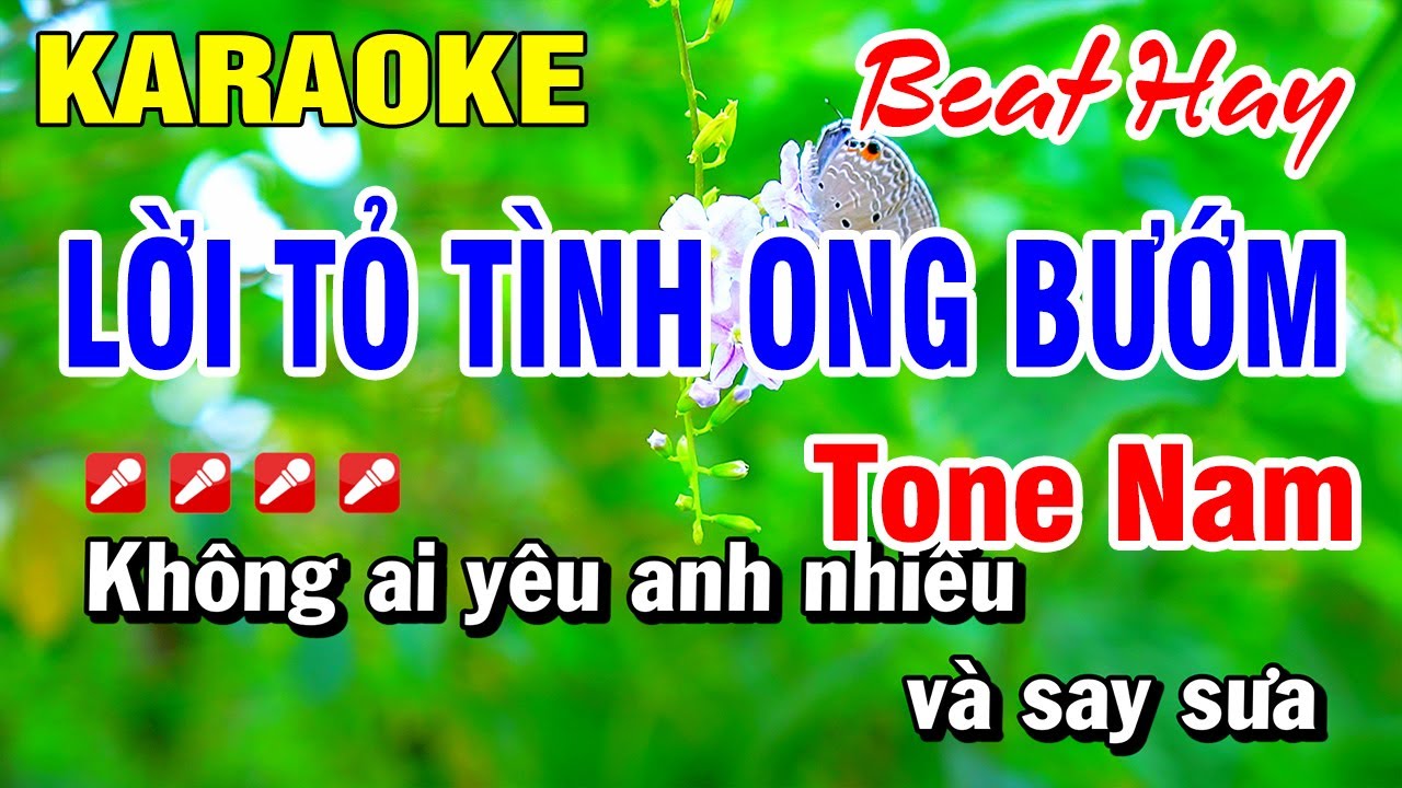 Karaoke Lời Tỏ Tình Ong Bướm (Beat Hay) Tone Nam Cha Cha | Hoài Phong Organ