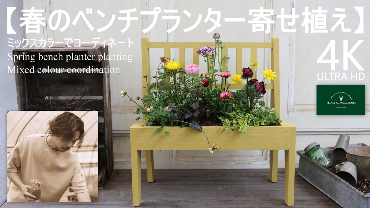 ベンチプランターの寄せ植え／春の草花を使って【春のガーデニング】-フローラ黒田園芸- mixed planting/ Spring gardening 4K ULTRA HD