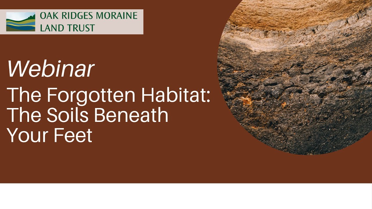 Webinar: The Forgotten Habitat: The Soils Beneath Your Feet