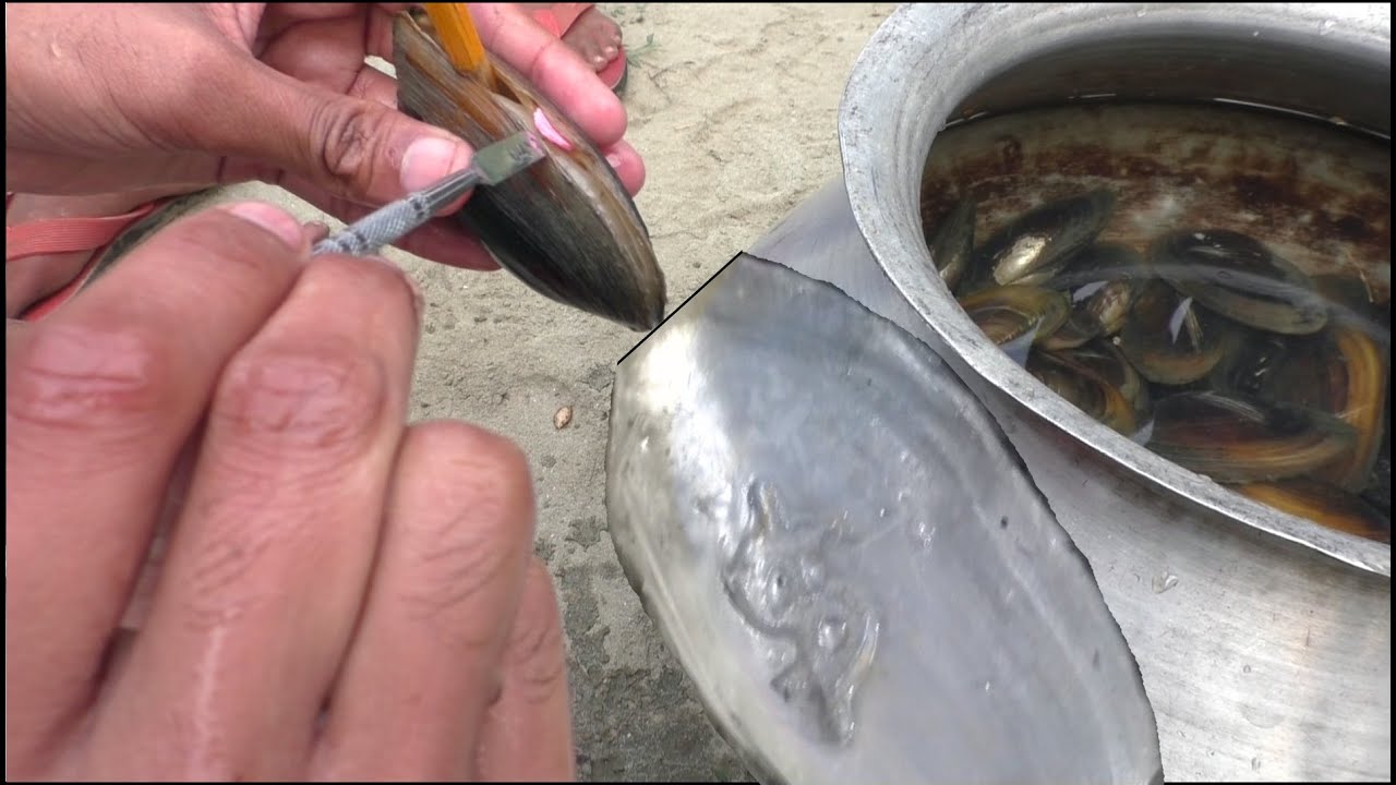 Pearl Farm With Fish Farming - Less Investment And Higher Income