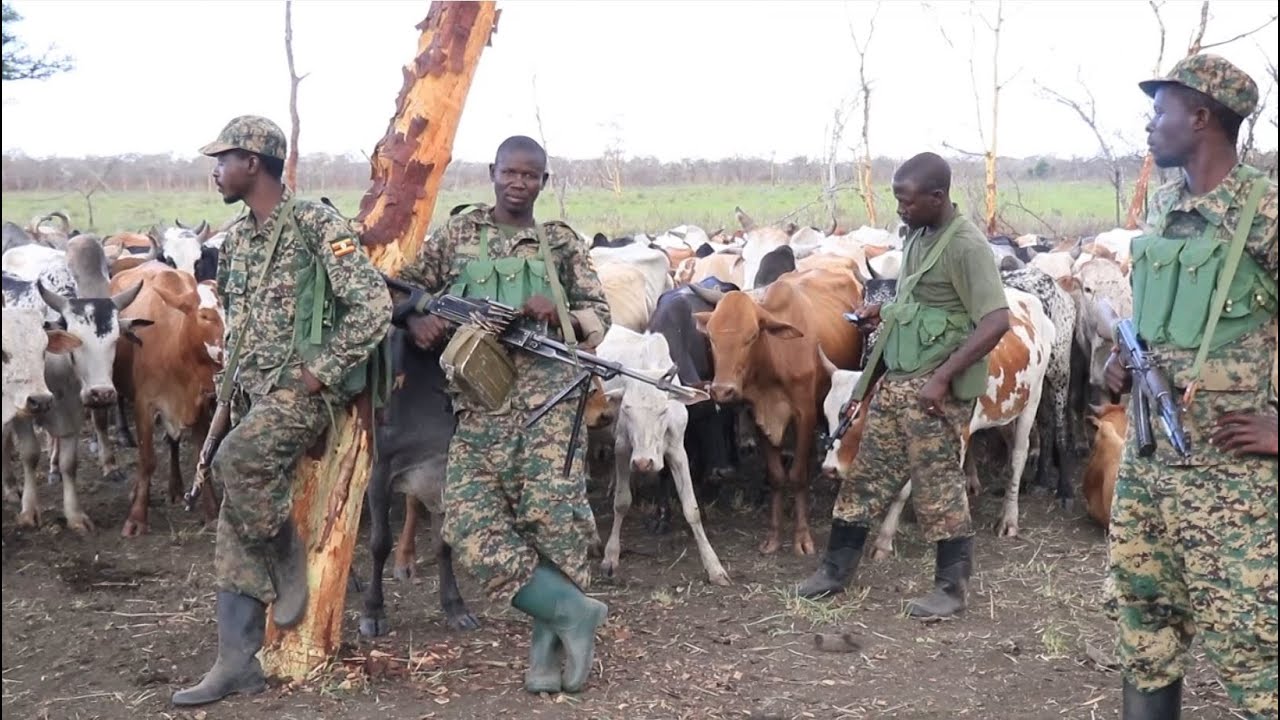 This what UPDF is doing in Karamoja region