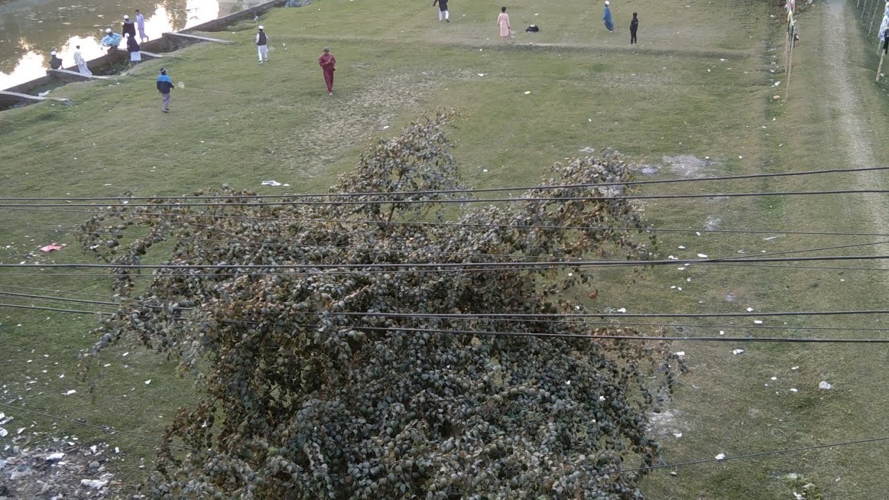 বিকেলবেলা মাঠে এসব কি হচ্ছে🙄