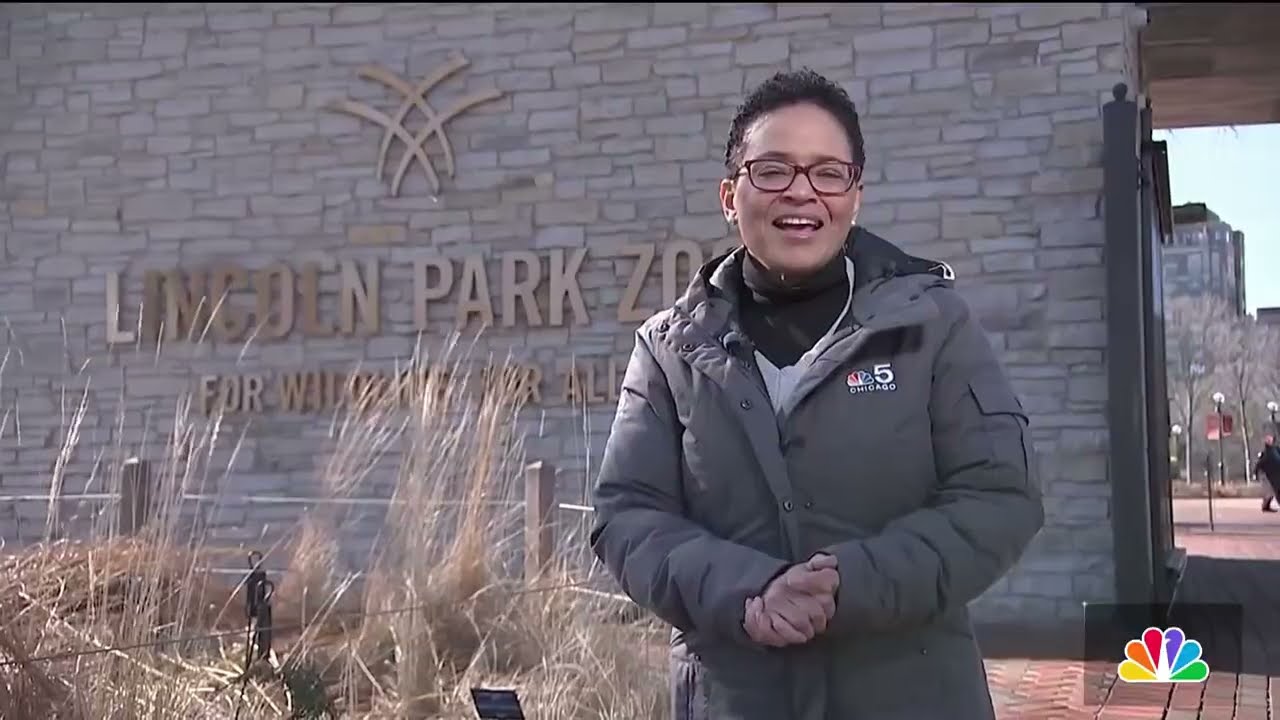 Non-profit helping people with disabilities explore Chicago's attractions