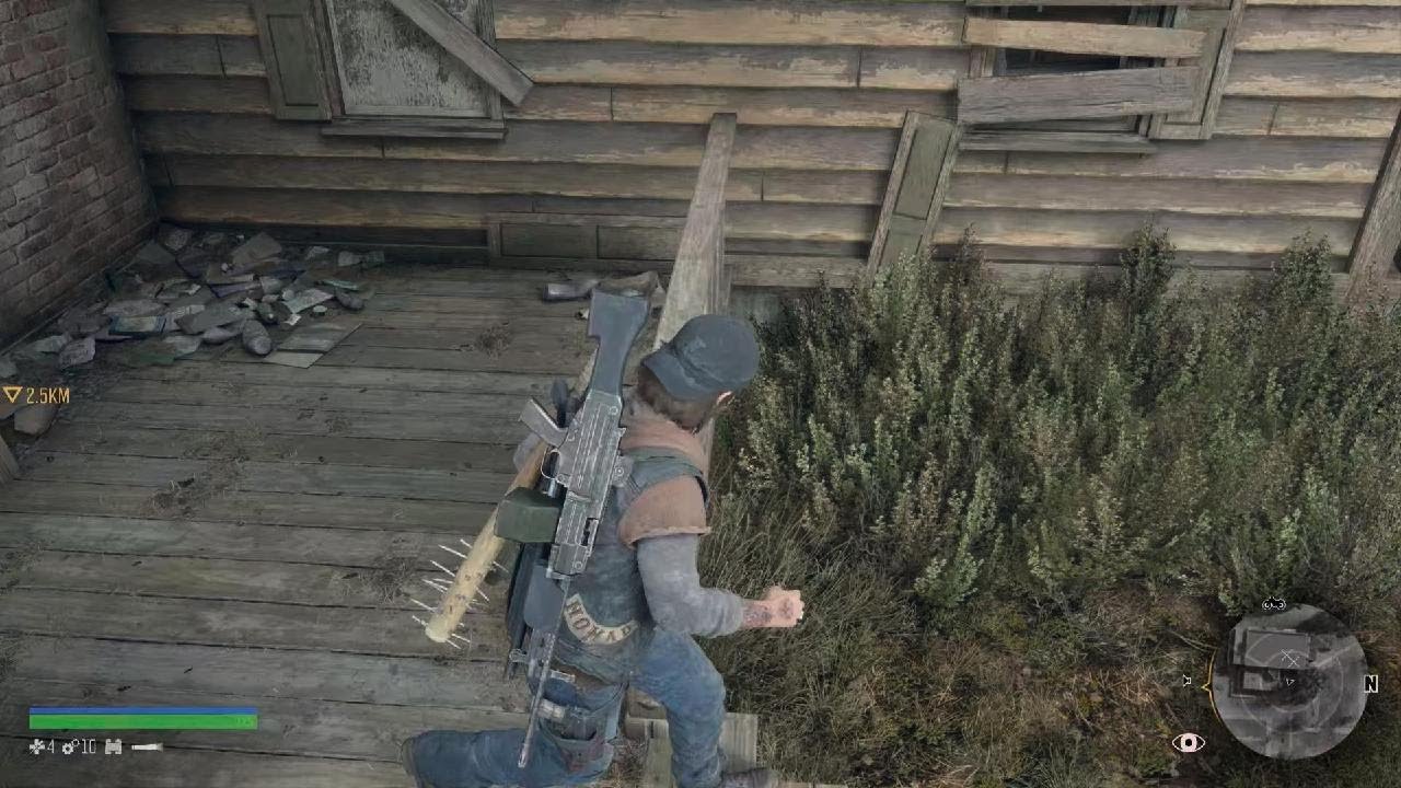 DAYS GONE_part23